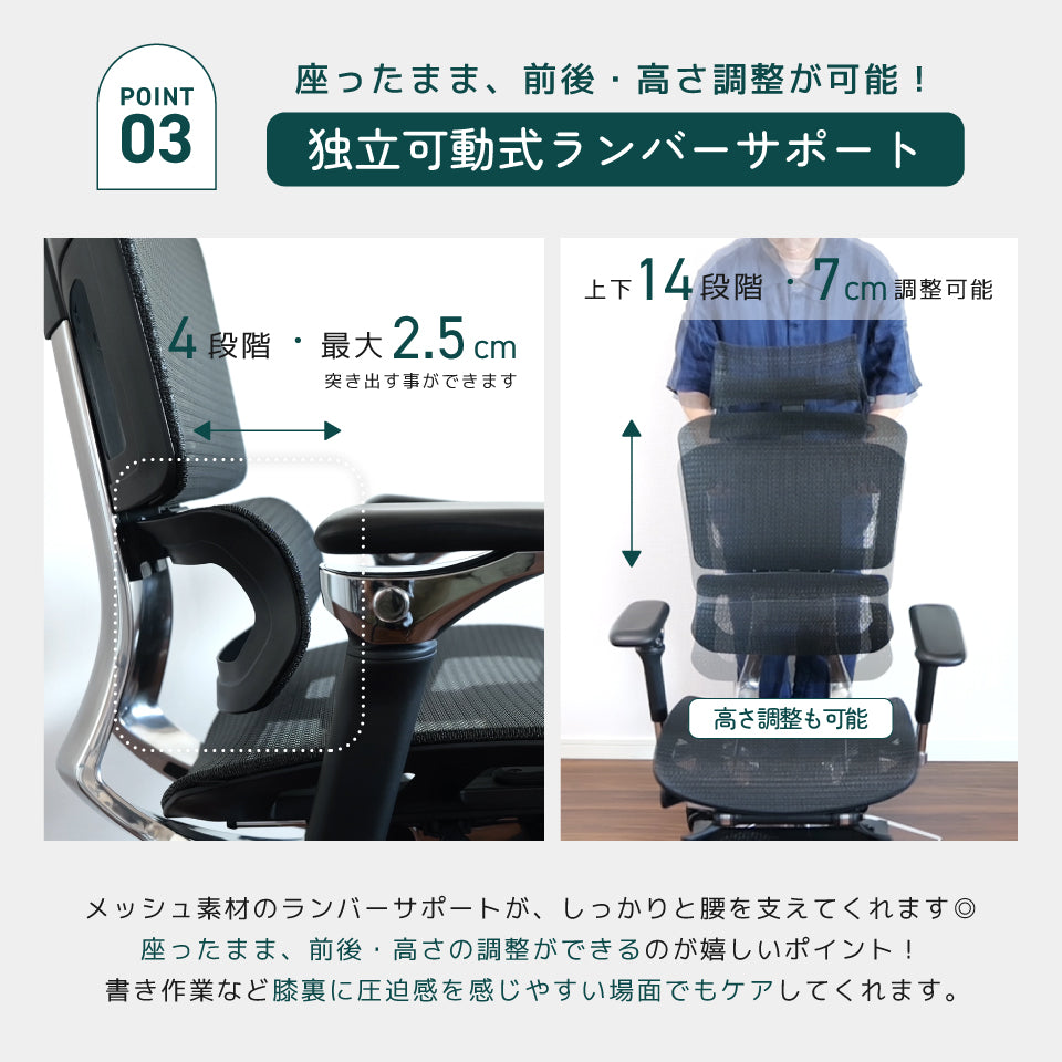 Rasical Chair Elite（ご注文から2営業日以内に発送）