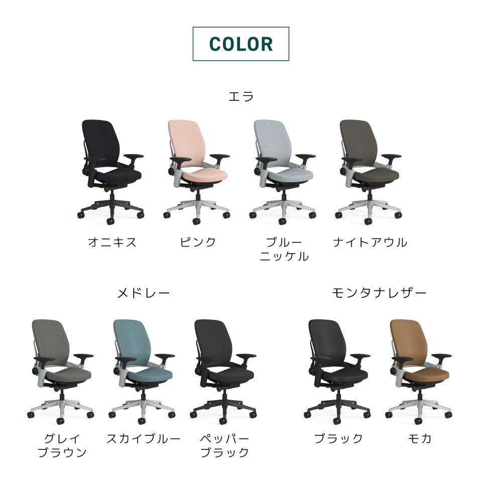 Steelcase Leap V2【ご注文から配送まで7〜10日ほどかかります】 – Mr