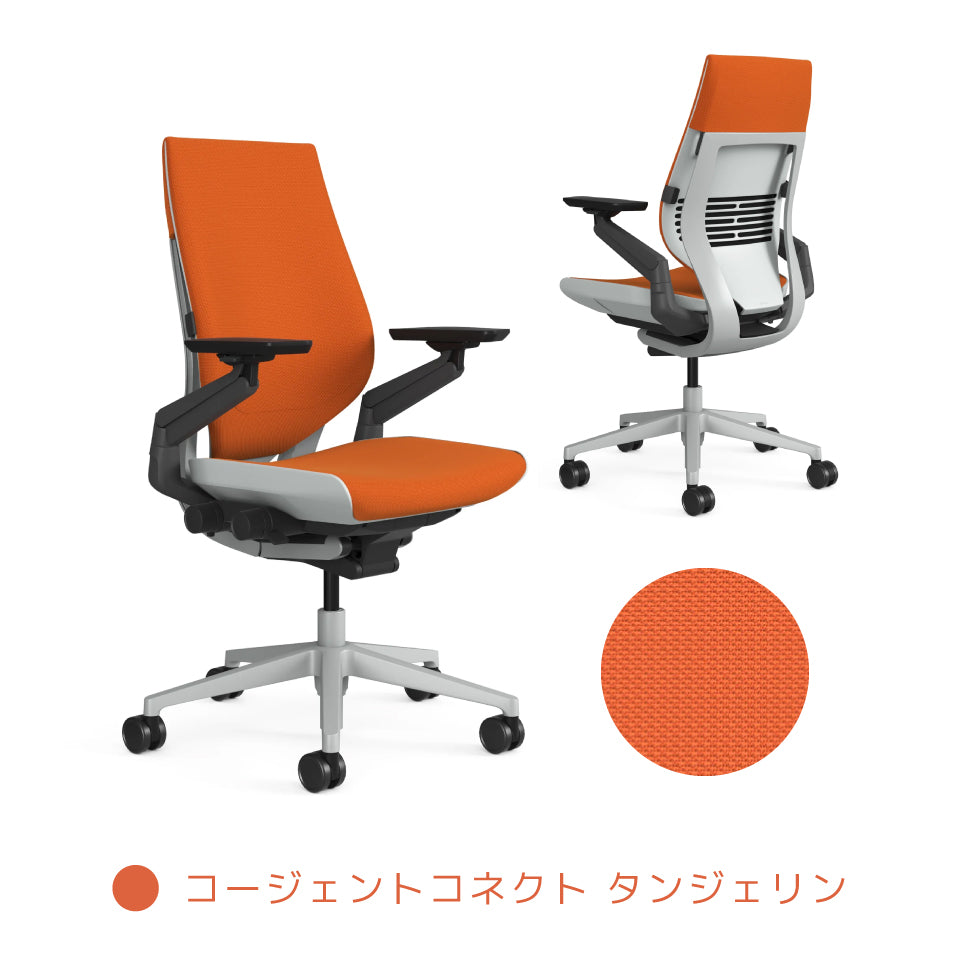 Steelcase Gesture【ご注文から配送まで7〜10日ほどかかります】