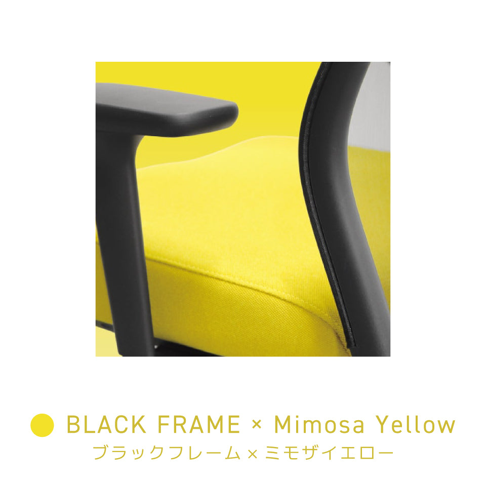 シースルーチェア （肘付き・ヘッドレスト ハンガー付き）ナイロンベース