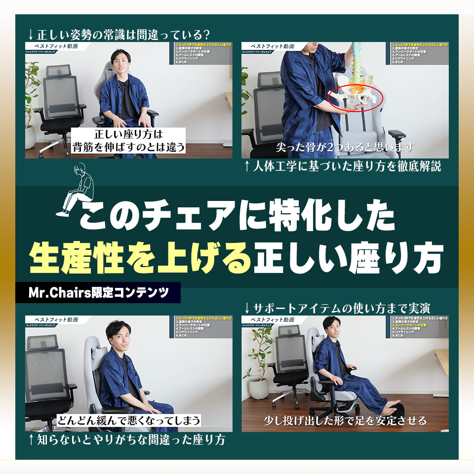 ウィステリア・フリーダムチェア【背面ファブリック版】GCV33（ご注文から2〜5営業日以内に発送）