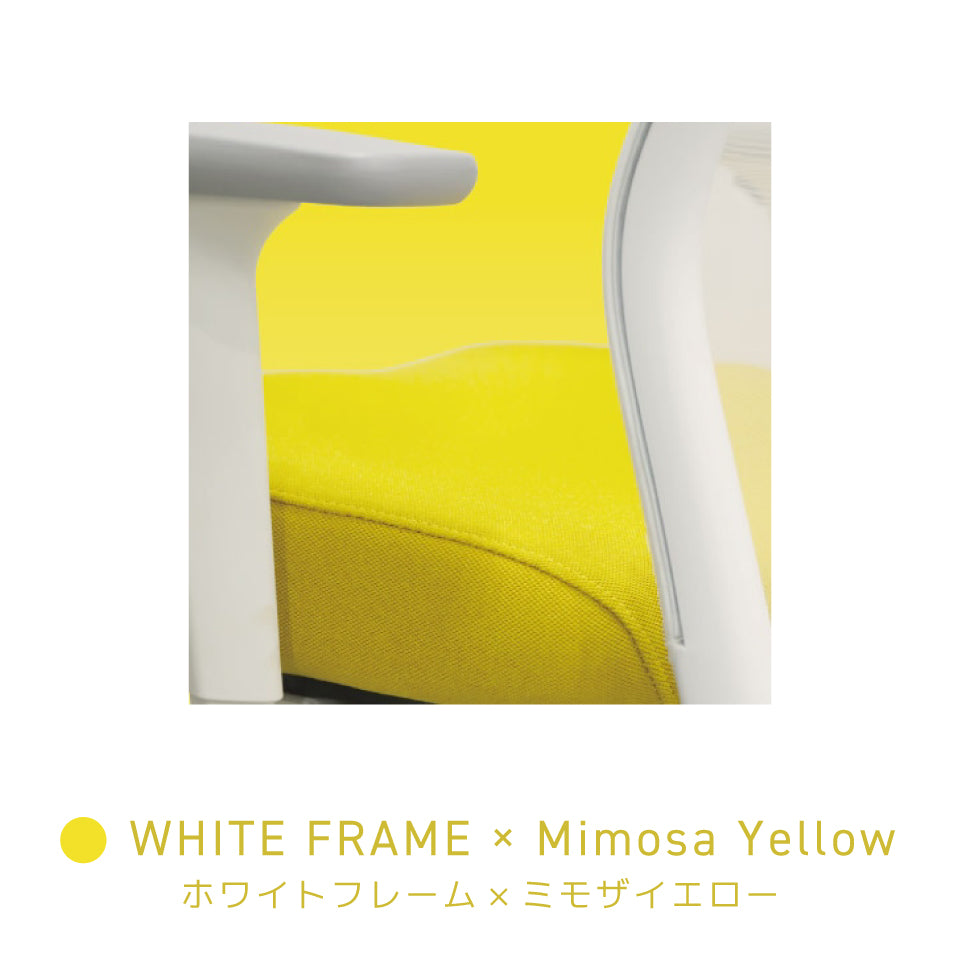 シースルーチェア （肘付き・ヘッドレスト ハンガー付き）ナイロンベース